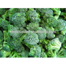 fresh broccoli